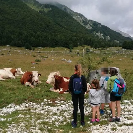 Appartamento Su Pista Da Sci
